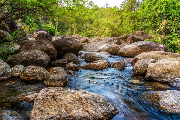 Речной камень и дерево красочные, Вид на реку дерево в лесу — стоковое фото