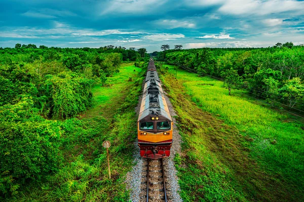 Trein op het spoorvervoer in bos en kleur van zonsondergang — Stockfoto