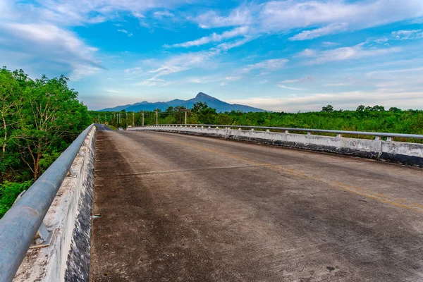 Carretera con puente y naturaleza arbórea a la luz solar — Foto de Stock