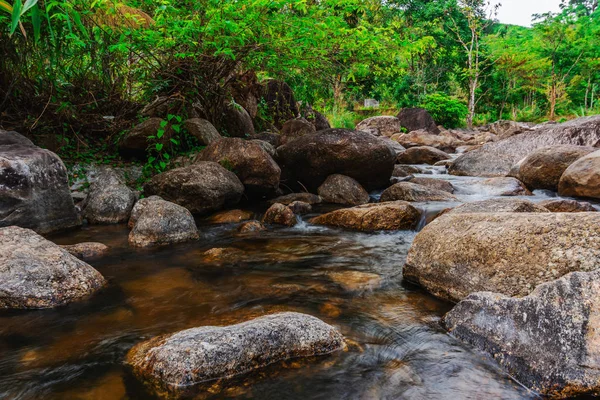 Río de piedra y colorido árbol, Ver árbol de río de agua en el bosque — Foto de Stock