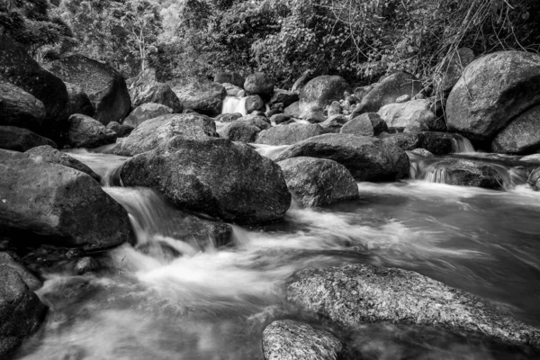 강 돌과 폭포, 보기 물 강 나무 — 스톡 사진