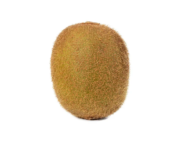 One Kiwi Fruit Isolated White Background — Stock Photo, Image