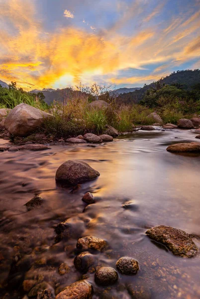 River stone and tree with sky and cloud colorful, View water river tree, Stone river and tree leaf in forest