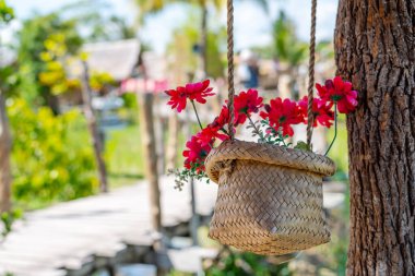Çiçek sepetleri, güzelce asılı, bulanık bir arka planı, güzel bir bokeh 'i ve sabah güneşi tarafından yayılan ışığı var..