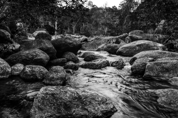 River Stone Tree Colorful View Water River Tree Stone River — Stock Photo, Image