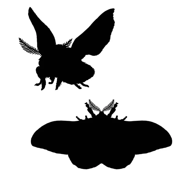 Můra silueta. Černá bílá ikona larvy hmyzu. Vektorové ilustrace motýlem. — Stockový vektor