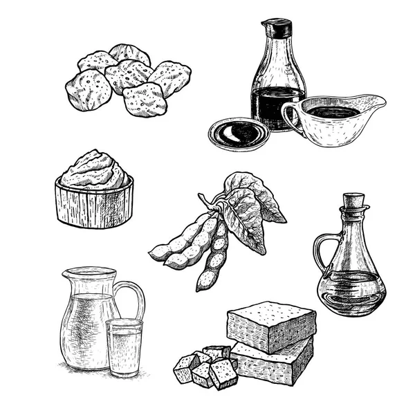 Set disegnato a mano di prodotti a base di soia. Schizzo vettoriale vintage — Vettoriale Stock