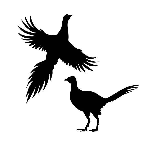 キジのシルエット。アイコンのセットです。フライングと立っている鳥。ベクトル図. — ストックベクタ
