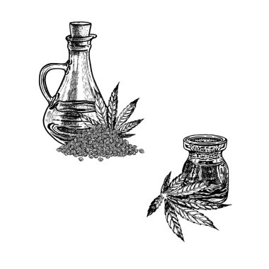 El Kenevir yağı çizilmiş kroki. Bitki özü. Vektör çizim