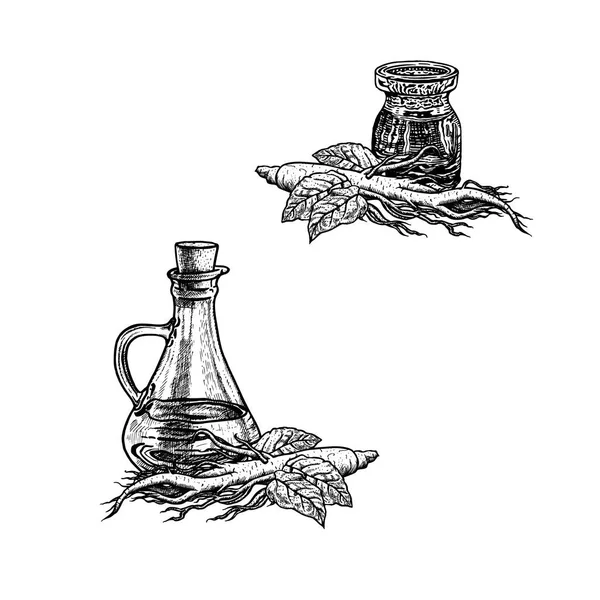 Ręcznie rysowane szkic żeń-szeń oleju. Ekstrakt z rośliny. Ilustracja wektorowa — Wektor stockowy