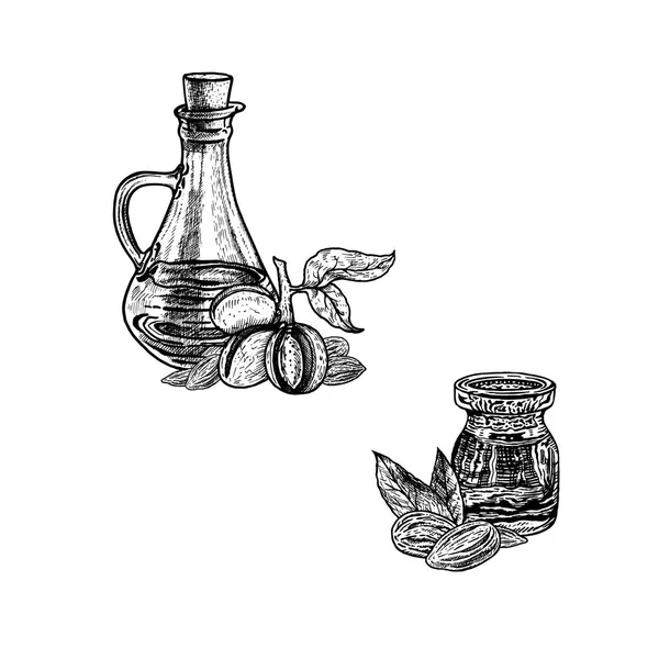 Schizzo disegnato a mano di olio di mandorle. Estratto di pianta. Illustrazione vettoriale — Vettoriale Stock