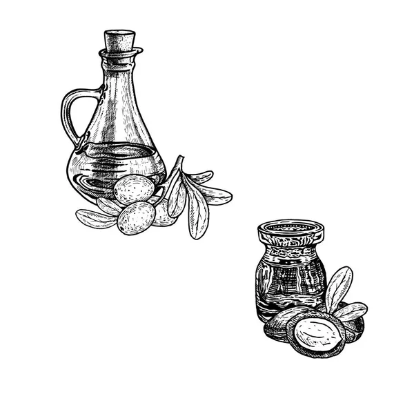 Schizzo disegnato a mano di olio di argan. Estratto di pianta. Illustrazione vettoriale — Vettoriale Stock