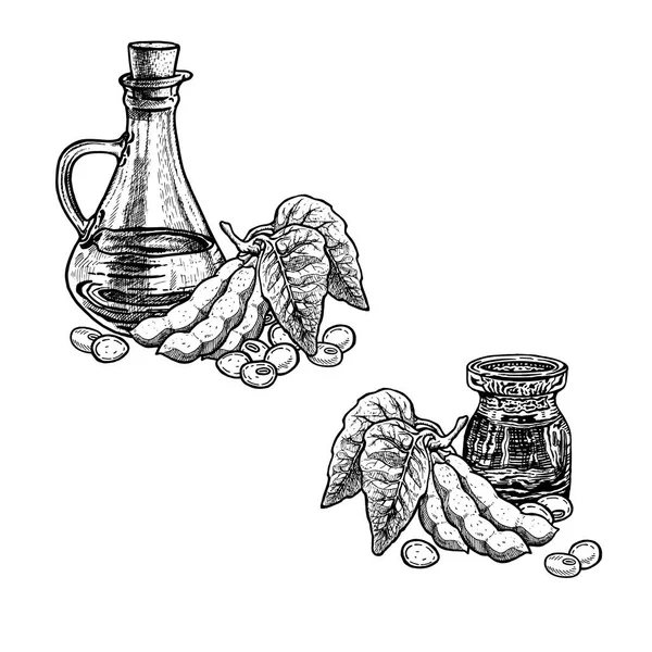 Dibujo dibujado a mano de aceite de soja. Extracto de planta. Ilustración vectorial — Archivo Imágenes Vectoriales