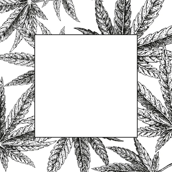 Sfondo canapa disegnato a mano. Foglia di cannabis. Schizzo vettoriale di marijuana. Progettazione del layout per l'imballaggio — Vettoriale Stock