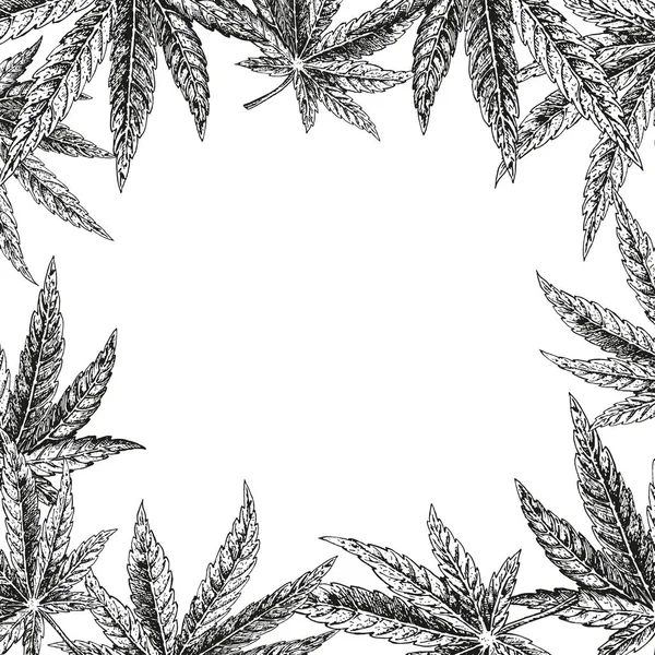 Hand getrokken hennep achtergrond. Cannabis blad. Vector schets van marihuana. Lay-outontwerp voor verpakking — Stockvector