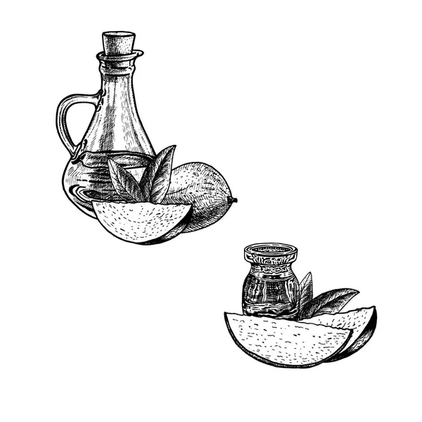 Set disegnato a mano di olio di mango. Schizzo vettoriale vintage — Vettoriale Stock