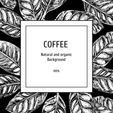 Kahve kroki ile arka plan. Vintage vektör arka plan. Vektör elle çizilmiş bırakır. Ambalaj için düzen tasarım