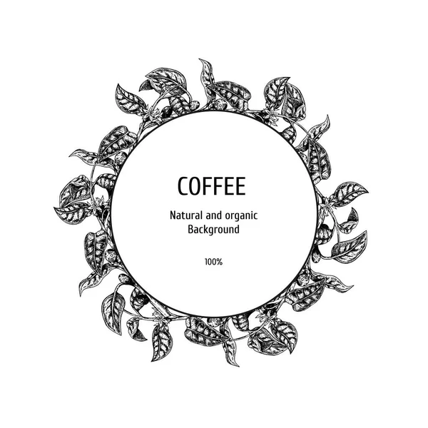 Hintergrund mit Kaffee-Sketch. Vektor-Hintergrund. Vektor handgezeichnete Blätter. Layout-Design für Verpackungen — Stockvektor