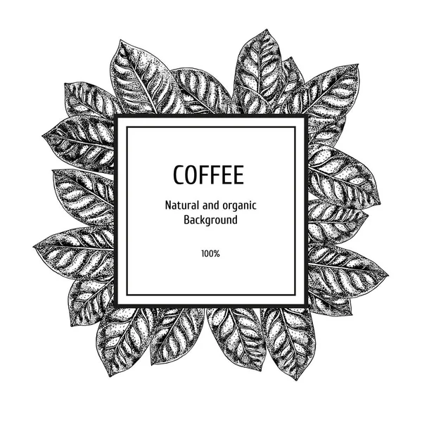 Hintergrund mit Kaffee-Sketch. Vektor-Hintergrund. Vektor handgezeichnete Blätter. Layout-Design für Verpackungen — Stockvektor