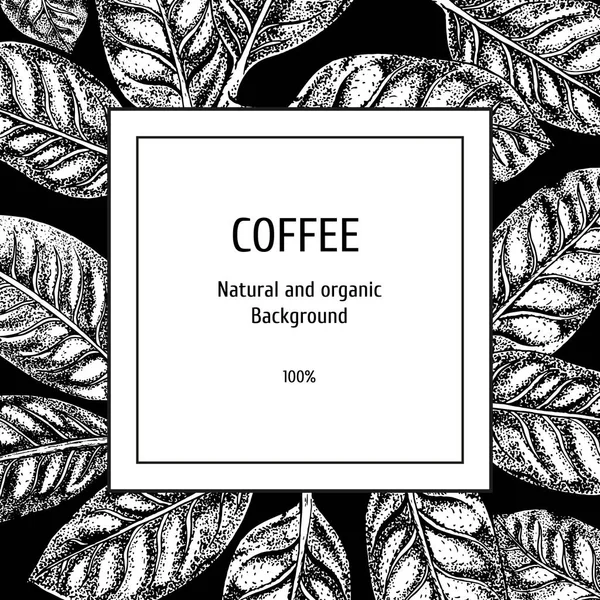 Kahve kroki ile arka plan. Vintage vektör arka plan. Vektör elle çizilmiş bırakır. Ambalaj için düzen tasarım