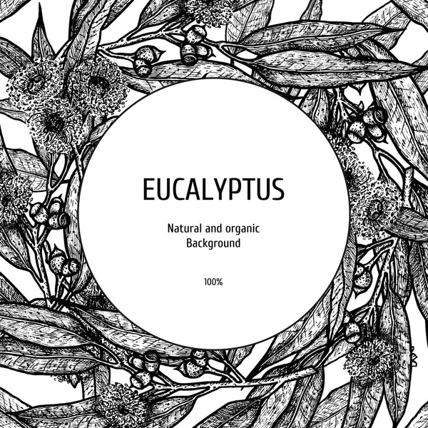 Fond d'eucalyptus dessiné à la main. Modèle à base de plantes. Croquis vectoriel de la plante. Conception de mise en page pour l'emballage — Image vectorielle