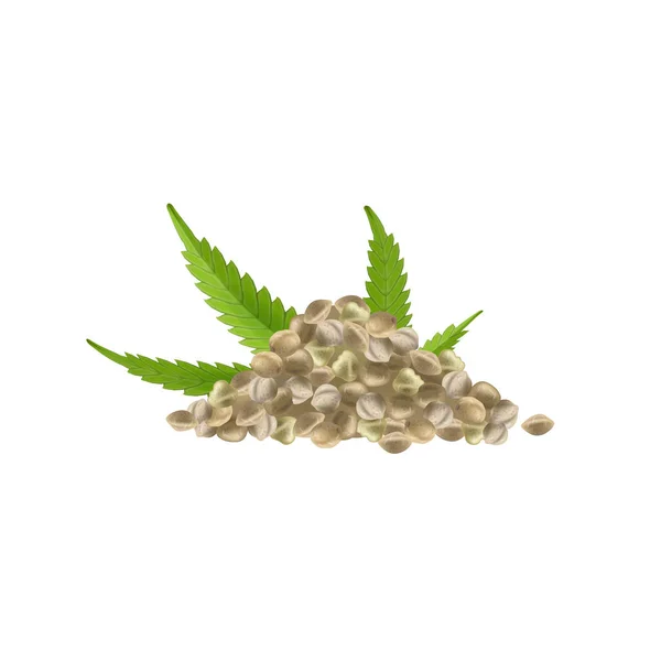 Hemp seeds Vector Art Stock Images Depositphotos
