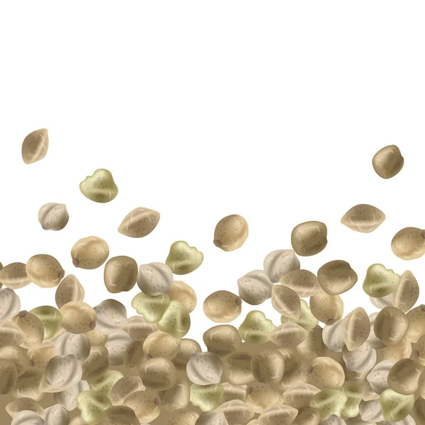 Contexte avec des graines de chanvre. Bouquet de marijuana. Illustration vectorielle . — Image vectorielle