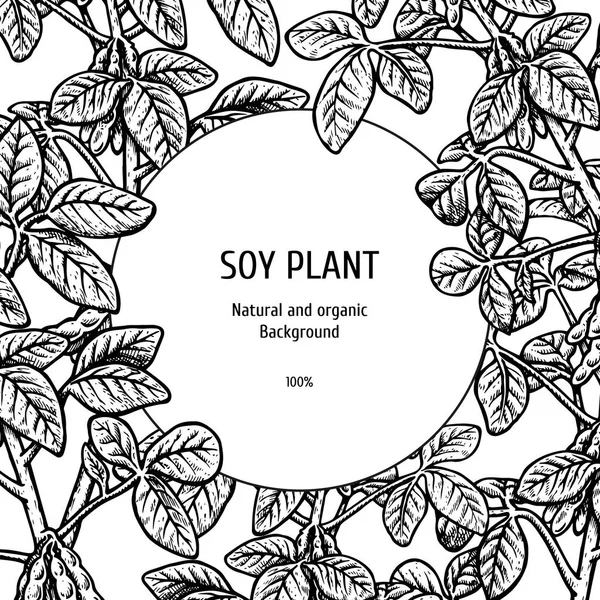 Hand drawn background with soy plant. Vector illustration — Stock Vector