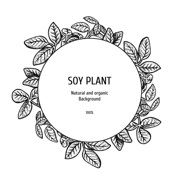 Fundo desenhado à mão com planta de soja. Ilustração vetorial — Vetor de Stock