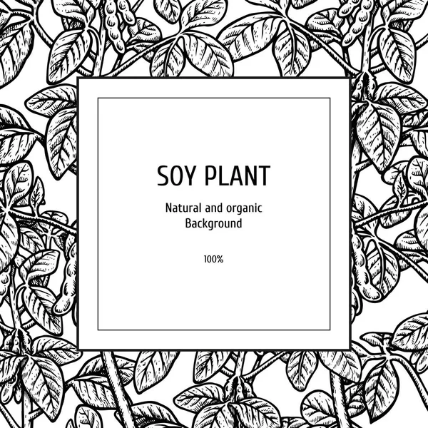 Hand drawn background with soy plant. Vector illustration — Stock Vector