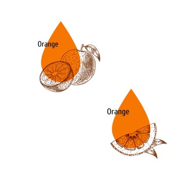 Portakal kabuğu yağı simgesi seti. El çizimi. Bitki özü. Vektör Illustration