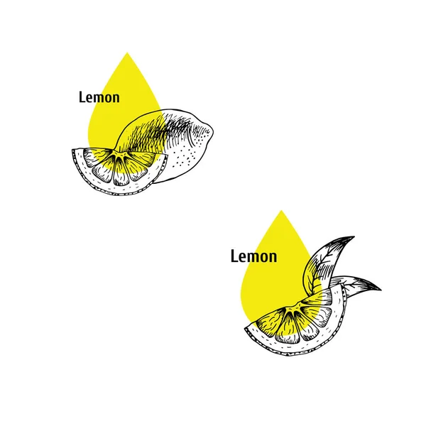 Lemon peel ikon minyak ditetapkan. Sketsa gambar tangan. Ekstrak tanaman. Ilustrasi vektor - Stok Vektor