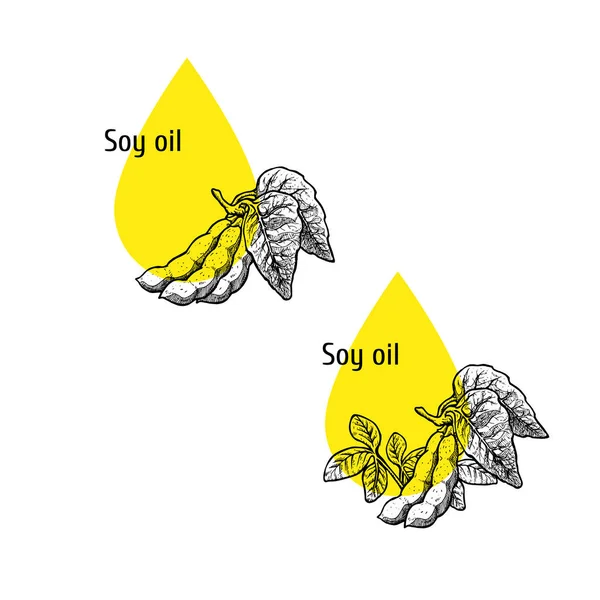 Soy oil icon set. Hand drawn sketch. Extract of plant. Vector illustration — Stock Vector