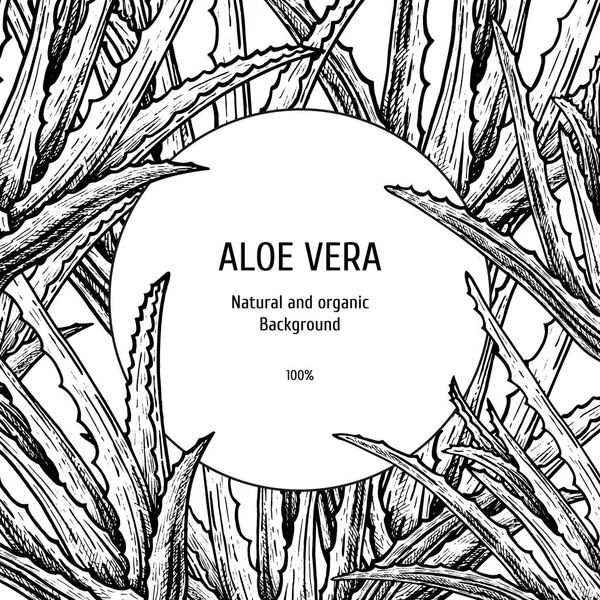 Hand drawn background with aloe vera. Vintage vector sketch — Stock Illustration Hand drawn background with aloe vera. Vintage vector sketch Royalty Free Stock Vectors