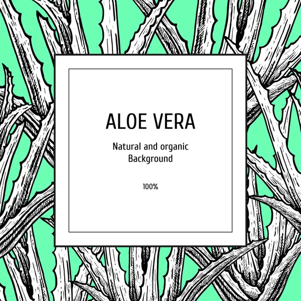 Hand drawn background with aloe vera. Vintage vector sketch — Stock Illustration Hand drawn background with aloe vera. Vintage vector sketch Stock Vector