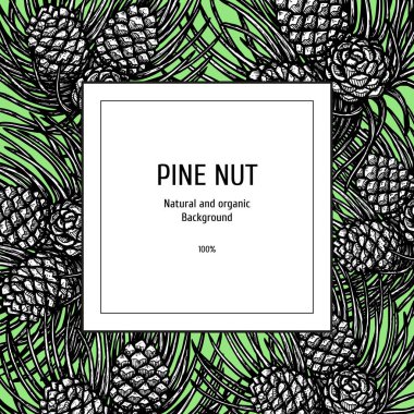 Çam koni ve iğneler ile el çizilmiş arka plan. Vintage vektör kroki