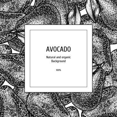 Avokado ile el çizilmiş arka plan. Vintage vektör kroki