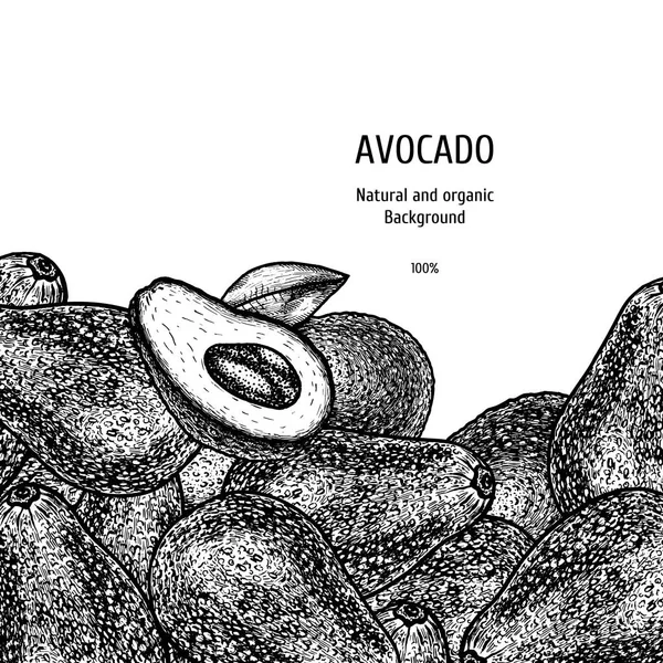 アボカドと手描きの背景。ヴィンテージベクタースケッチ — ストックベクタ