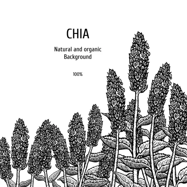 手绘背景与嘉植物。复古矢量草图 — 图库矢量图片