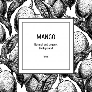 Mango ile elle çizilmiş arka plan. Vintage vektör krokisi