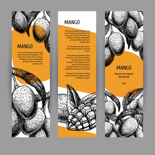 Banners with mango. Black-white design with fruit. Vector illustration — Stock Vector