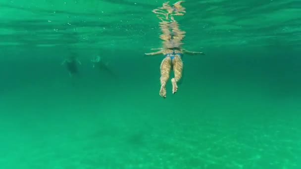 Víz alatti fényképezés, a fiatal nők, gyönyörű test — Stock videók