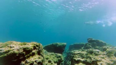 Şnorkel ve maske ile adam dalış sualtı