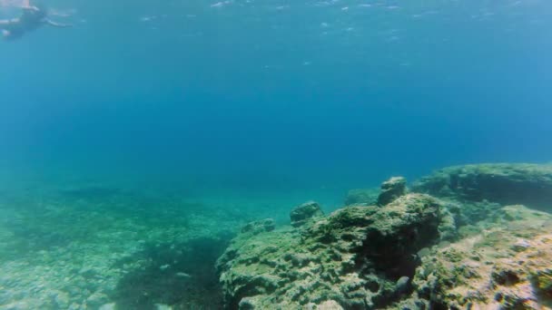 Buceo de hombre bajo el agua con snorkel y máscara — Vídeo de stock