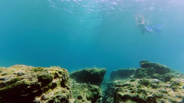 Чоловік занурюється під воду за допомогою снорк і маски — стокове відео