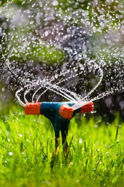 Bahçe yağmurlama sulama çimen