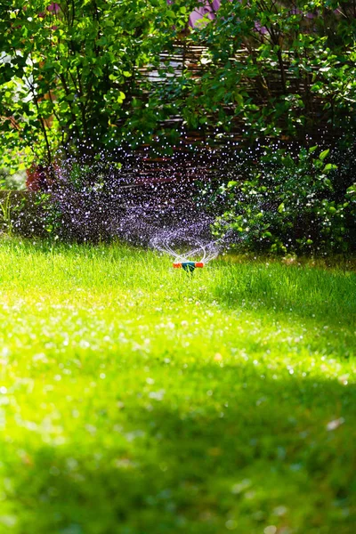 Rotating garden sprinkler watering grass