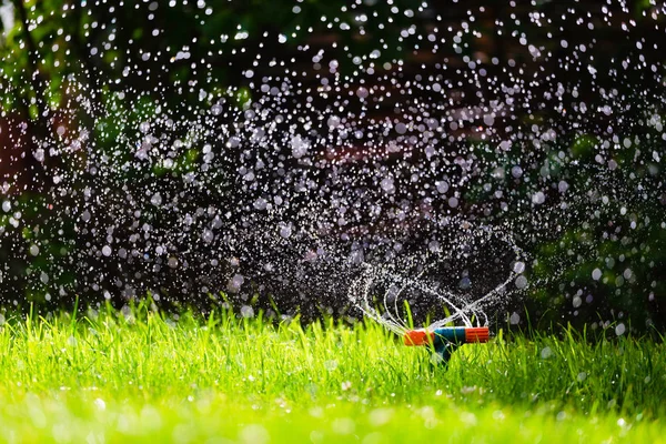 Garden sprinkler watering grass — Stock Photo, Image