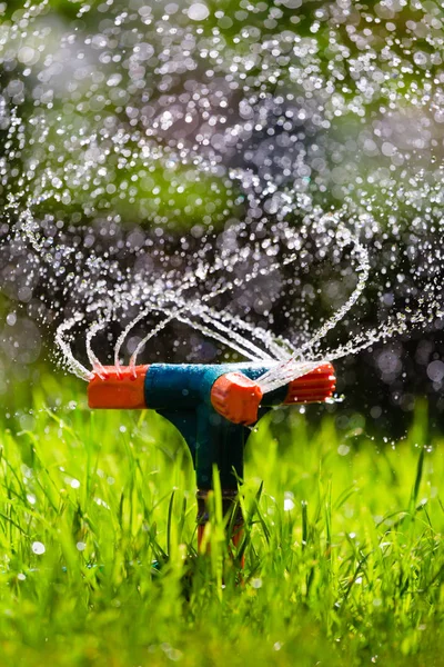 Bahçe yağmurlama sulama çimen