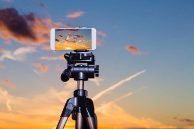 Smartphone çarpıcı gün batımından görüntü yakalama tripod üzerinde